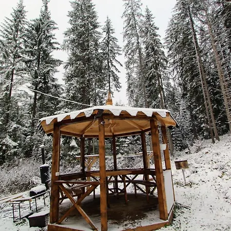 Alpiyske Shale Chalet *
