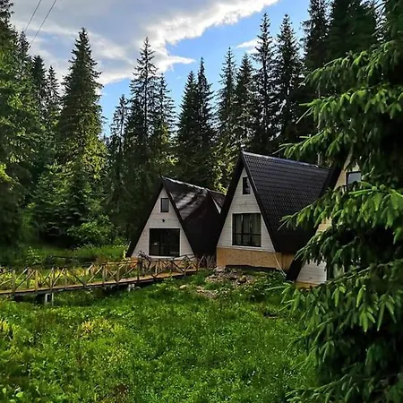 Alpiyske Shale Chalet *