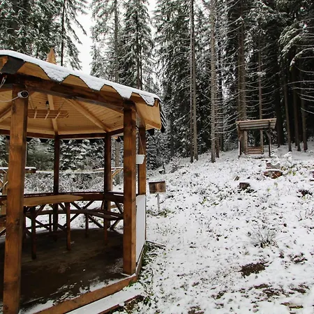Alpiyske Shale Chalet